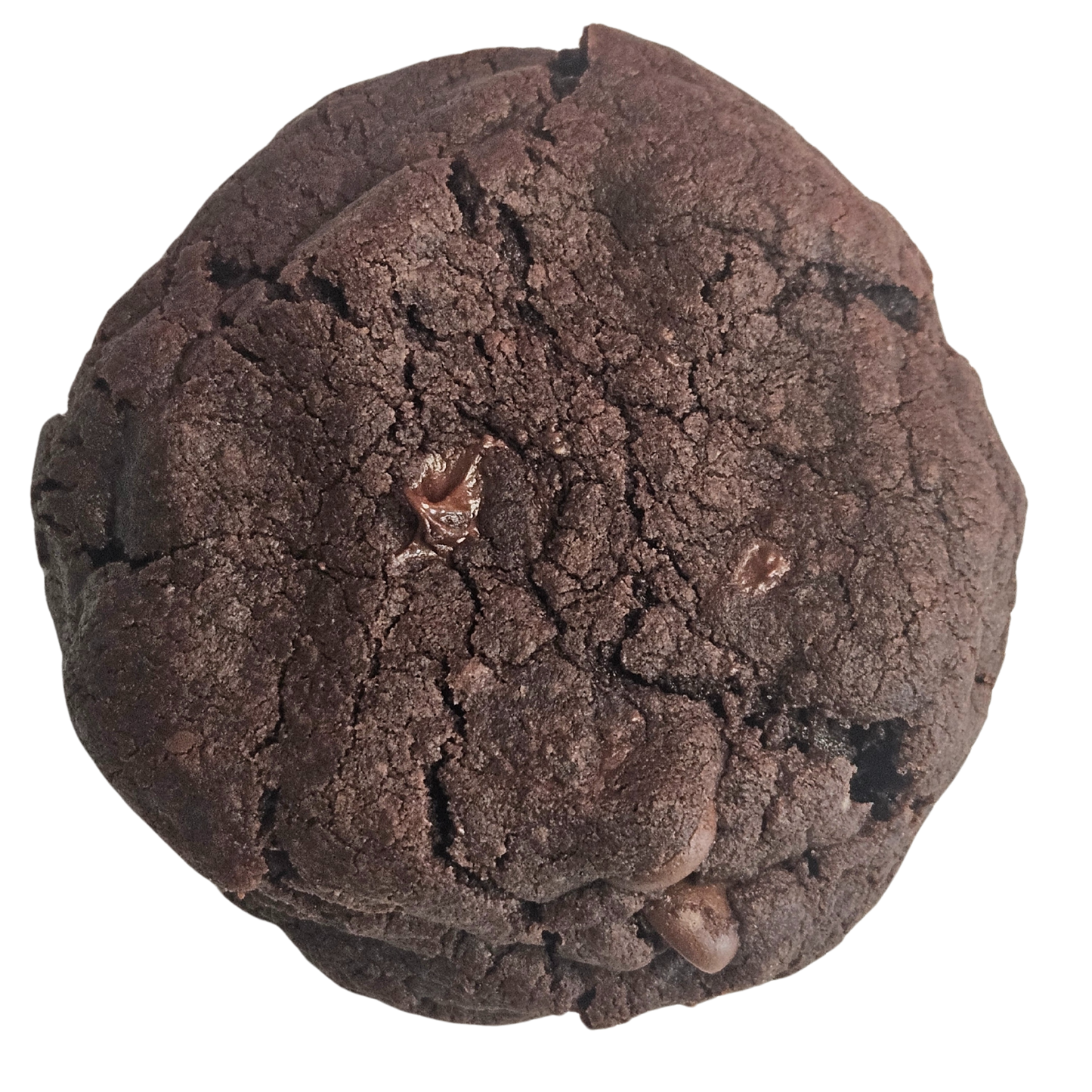 Fudgy Brownie Cookies